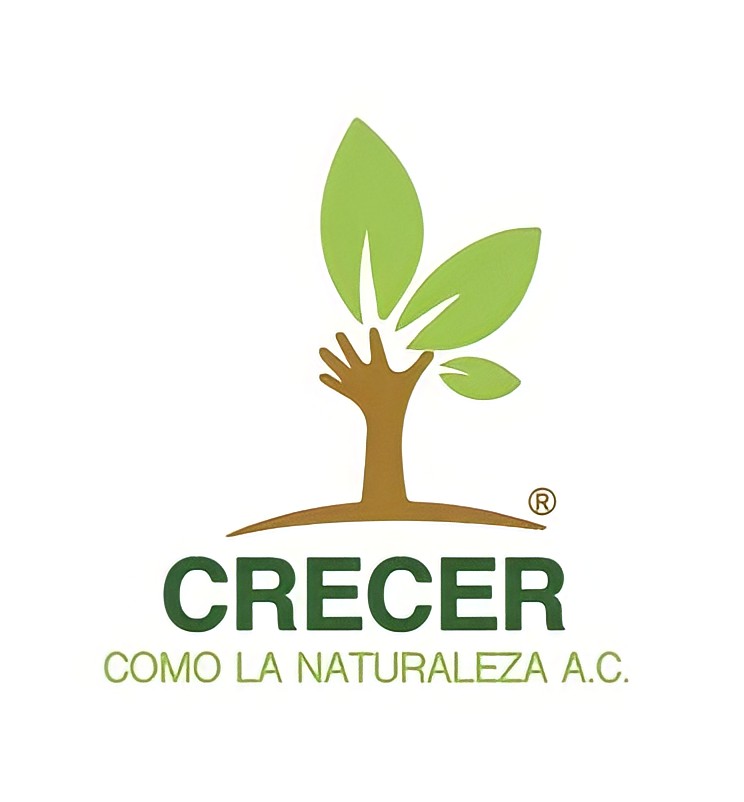 Logo-Fundacion
