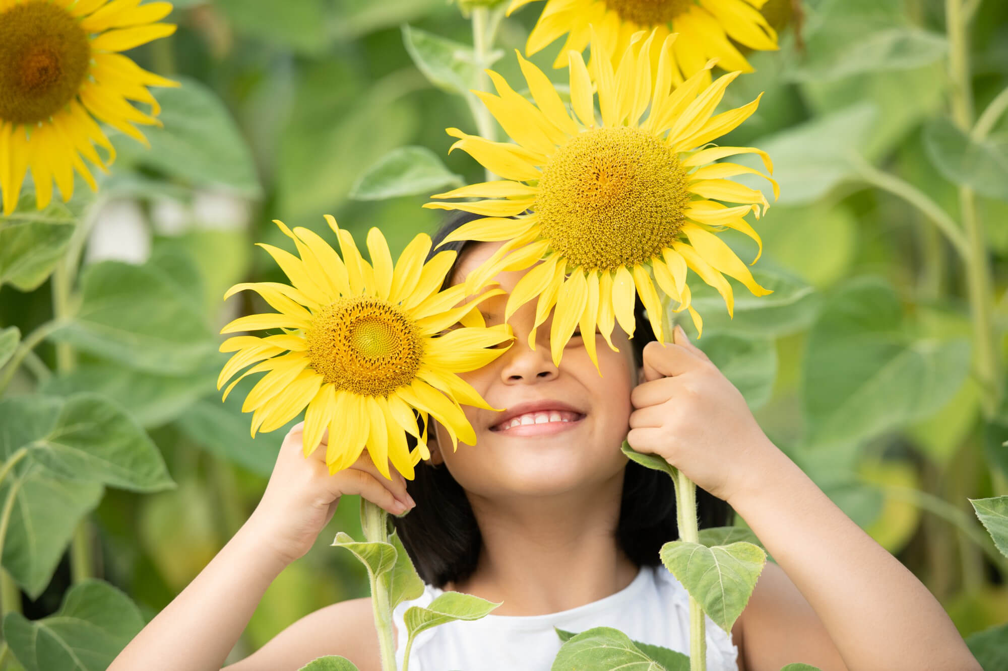 feliz-nina-asiatica-divirtiendose-girasoles-flor-suaves-rayos-sol